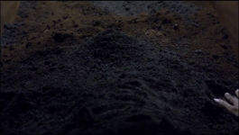 Parineeti - 7th January 2023